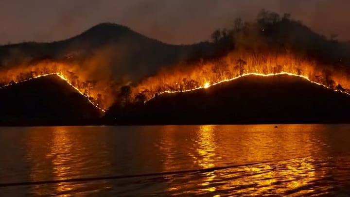 Maui Wildfire image courtesy of Senior Living News