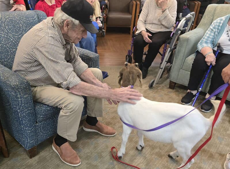 Chisholm Place resident petting a goat