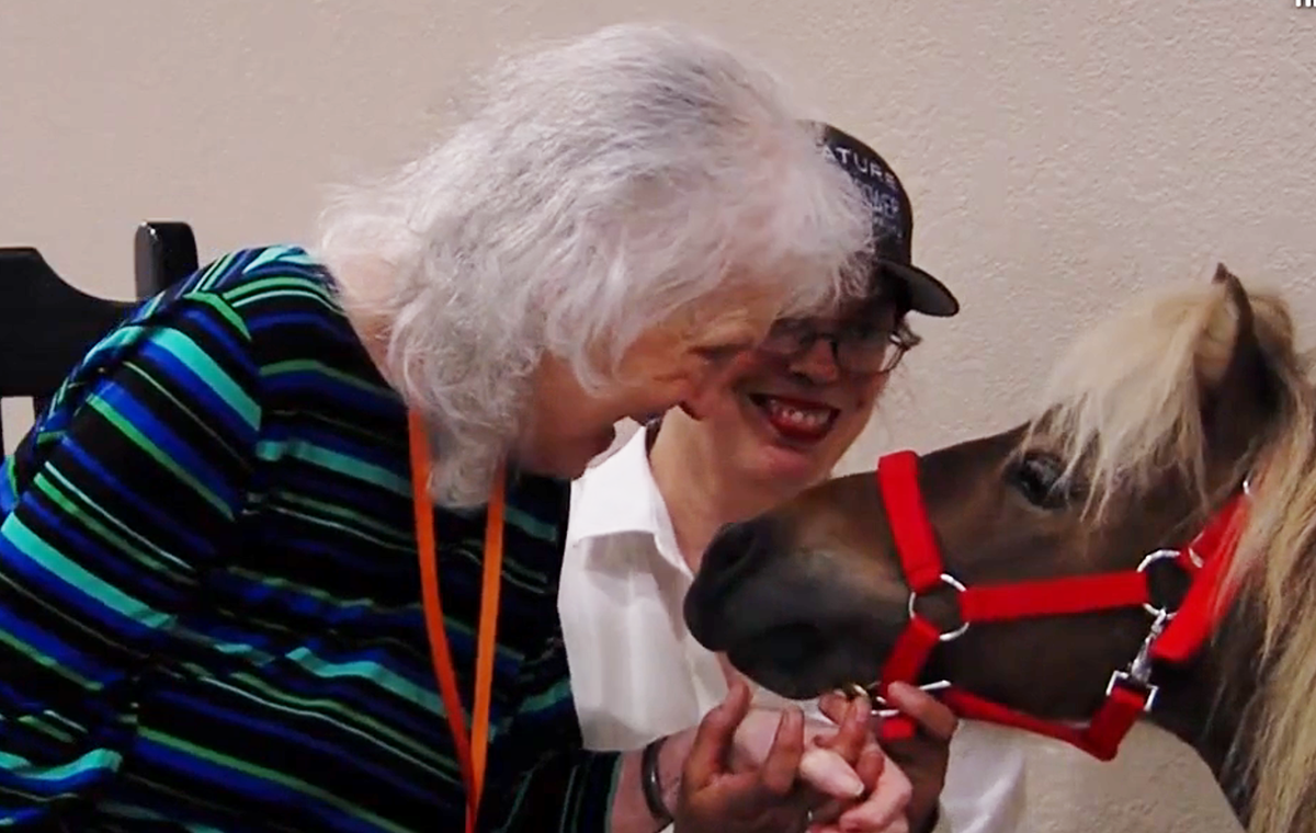 Miniature horse brings smiles at Savoy Place Memory Care in Savoy Illinois